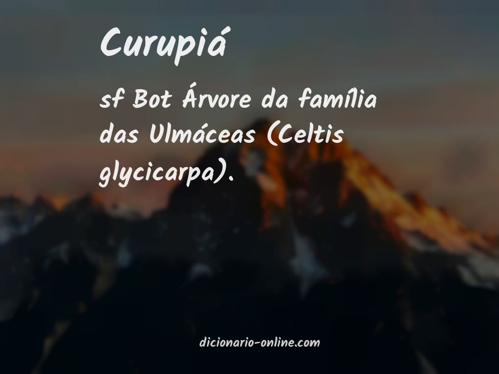 Significado de curupiá