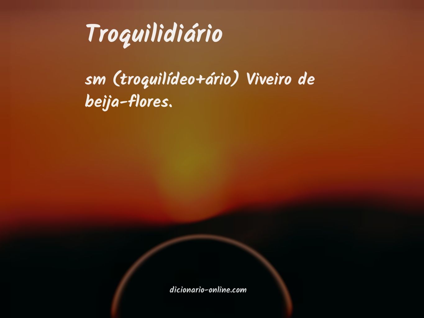 Significado de troquilidiário