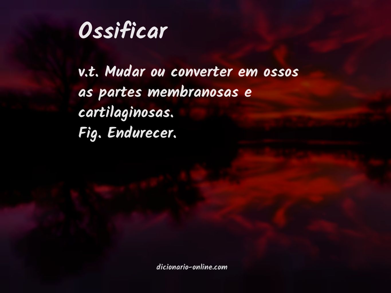 Significado de ossificar