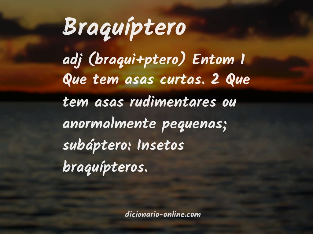 Significado de braquíptero