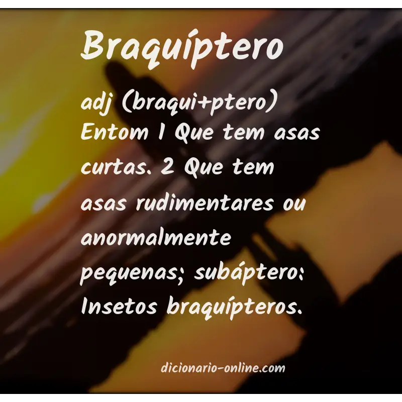 Significado de braquíptero