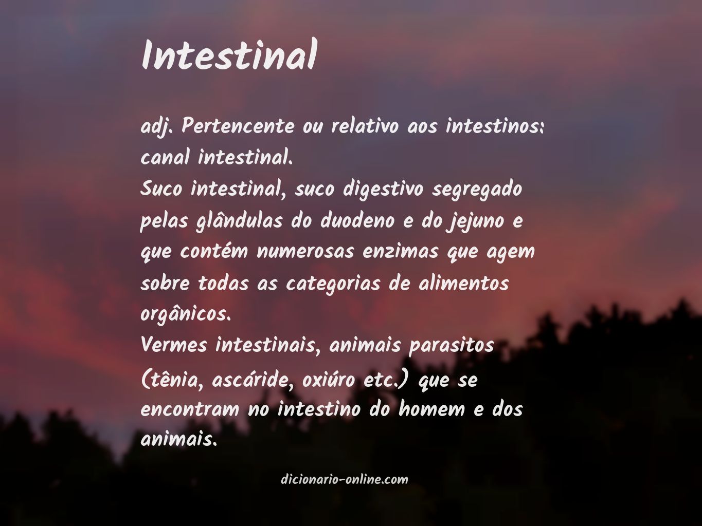 Significado de intestinal