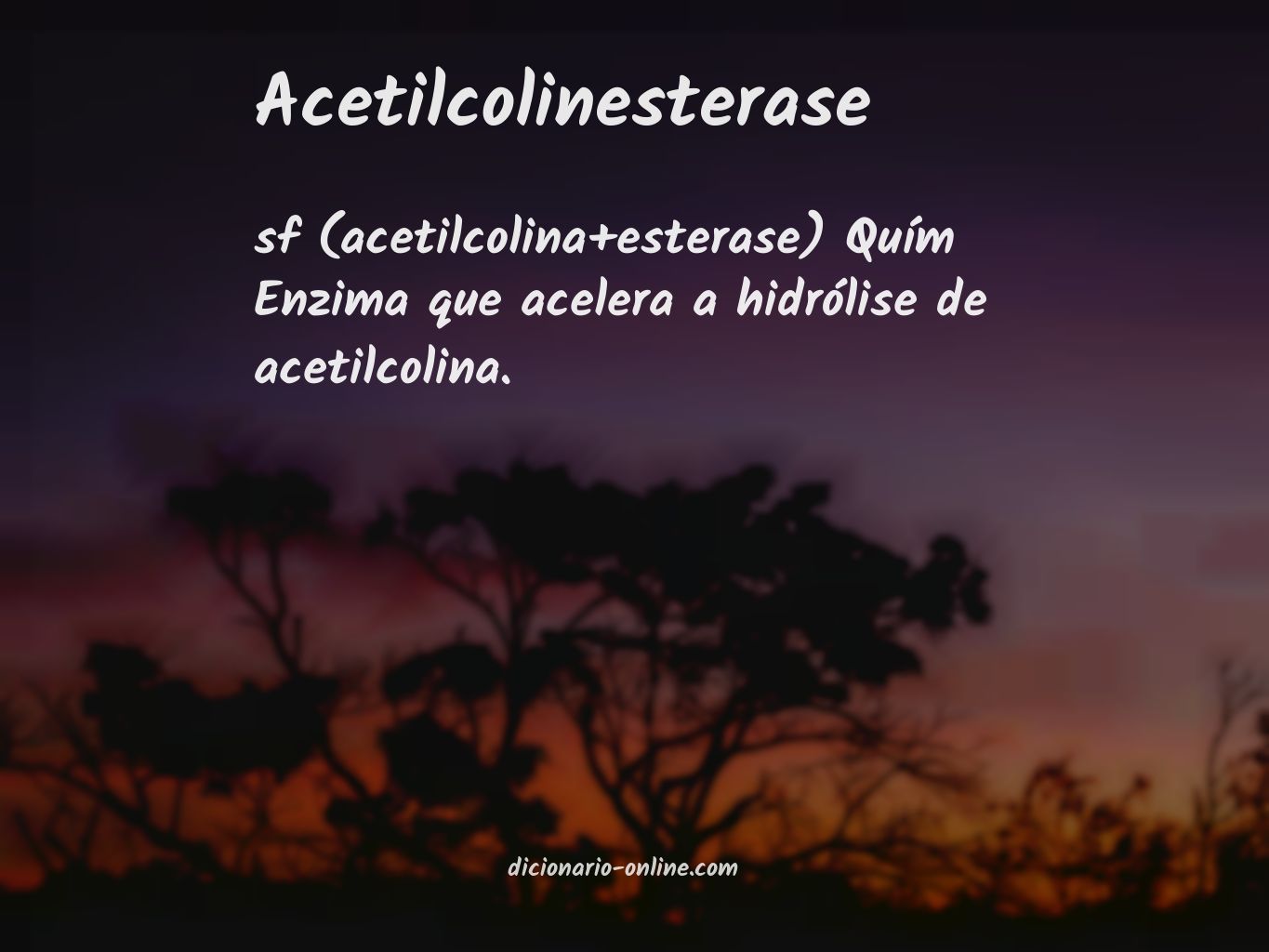 Significado de acetilcolinesterase