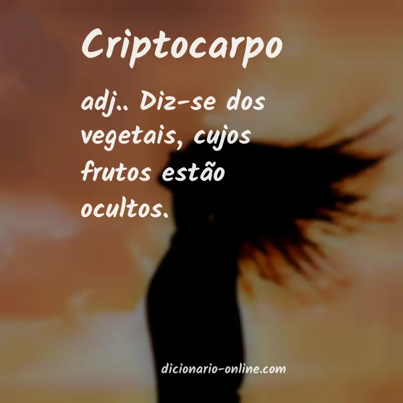 Significado de criptocarpo