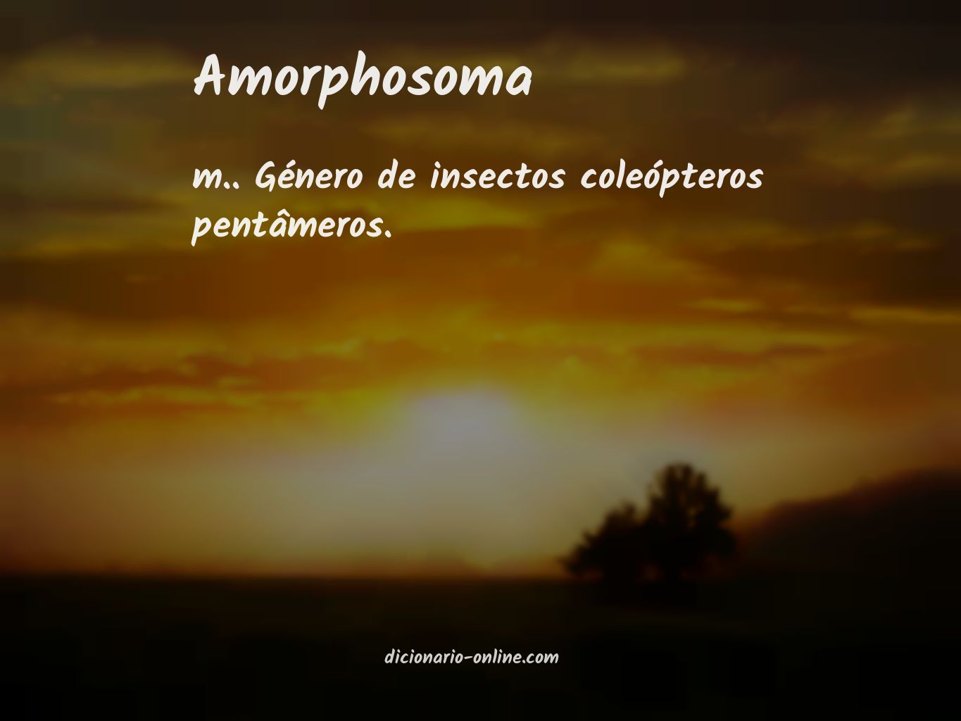 Significado de amorphosoma