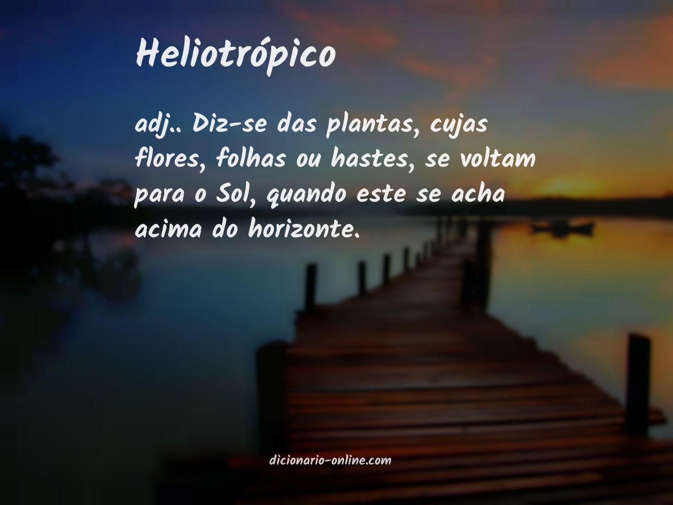 Significado de heliotrópico