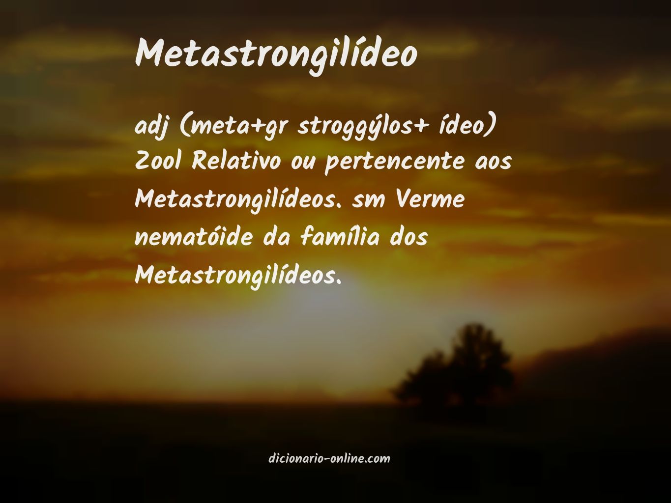 Significado de metastrongilídeo