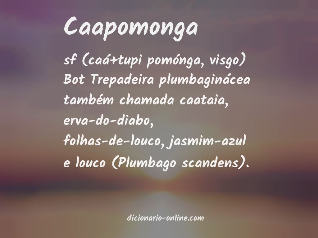 Significado de caapomonga