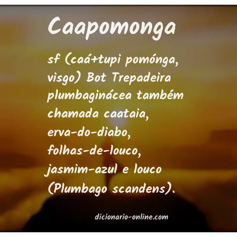 Significado de caapomonga
