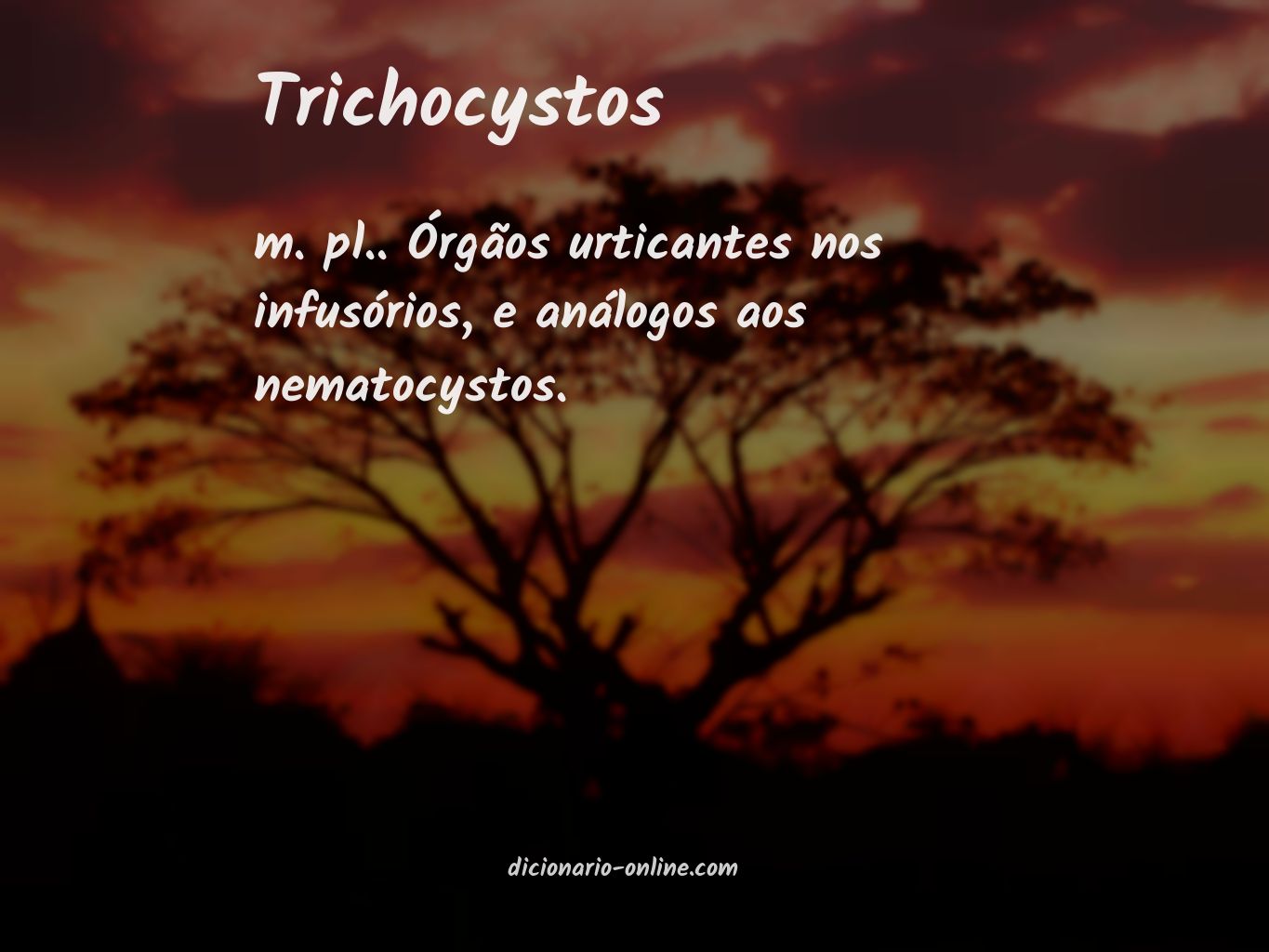 Significado de trichocystos