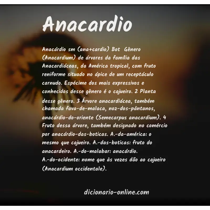 Significado de anacardio