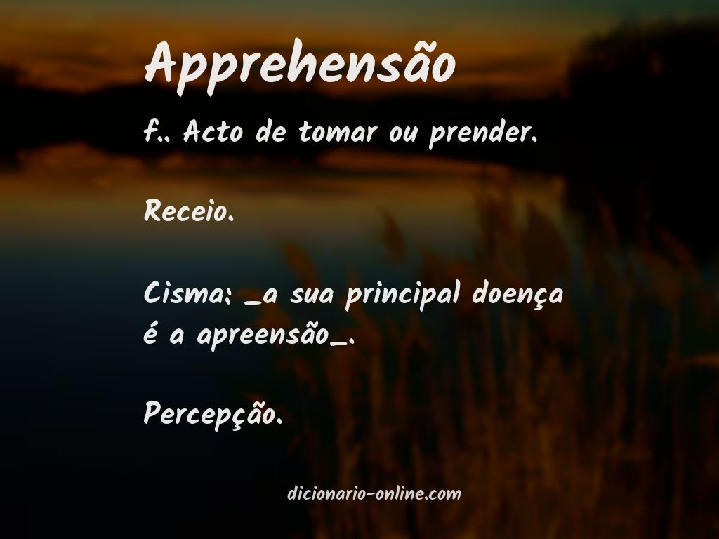 Significado de apprehensão