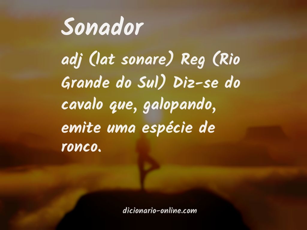 Significado de sonador