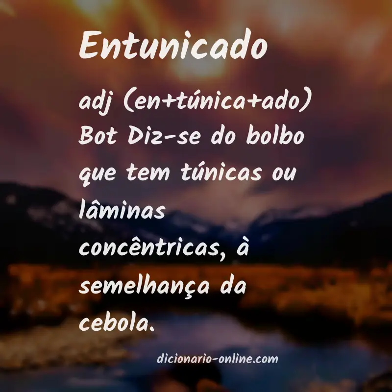 Significado de entunicado