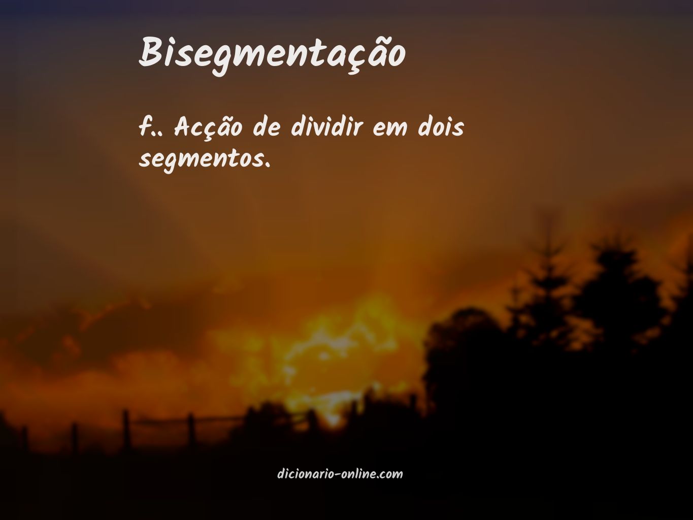 Significado de bisegmentação