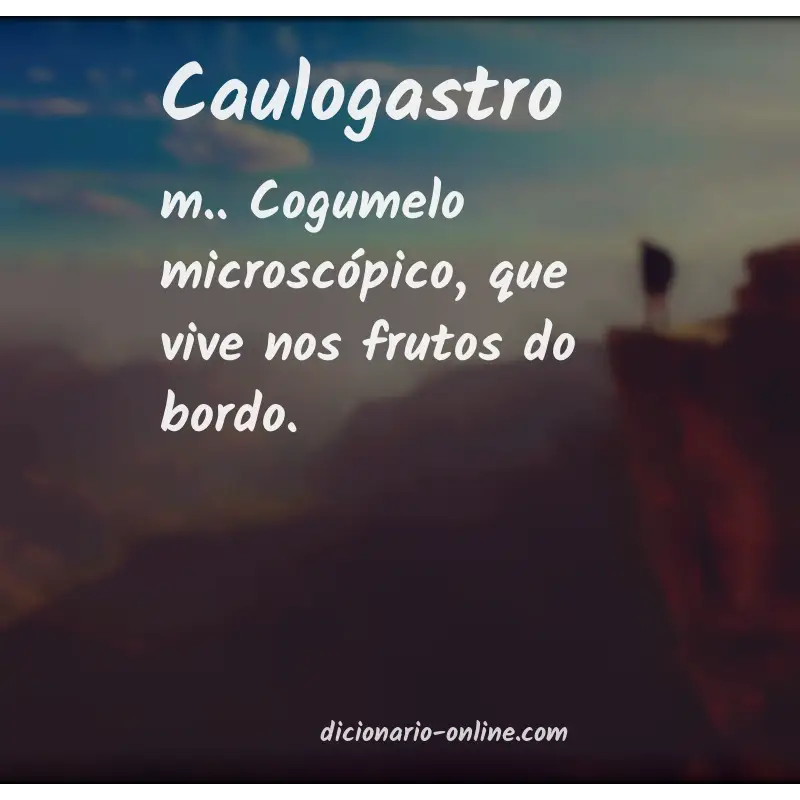 Significado de caulogastro