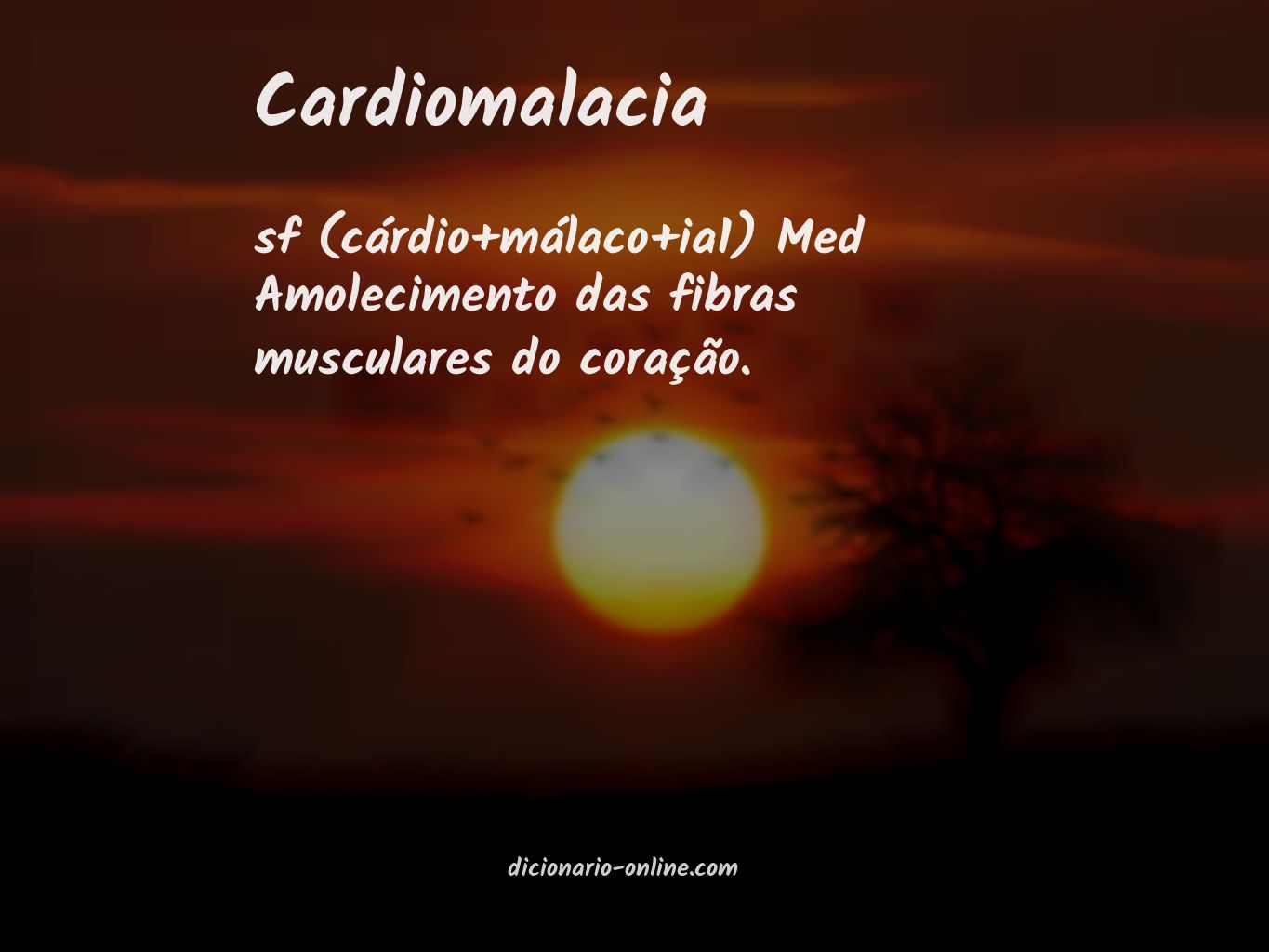 Significado de cardiomalacia