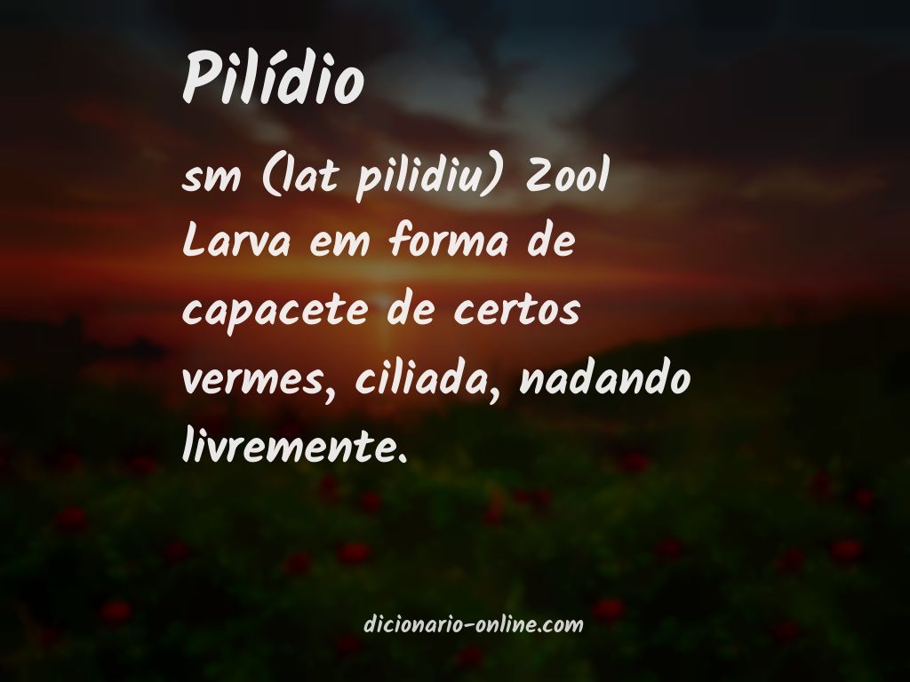 Significado de pilídio