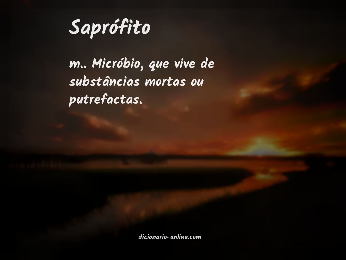 Significado de saprófito