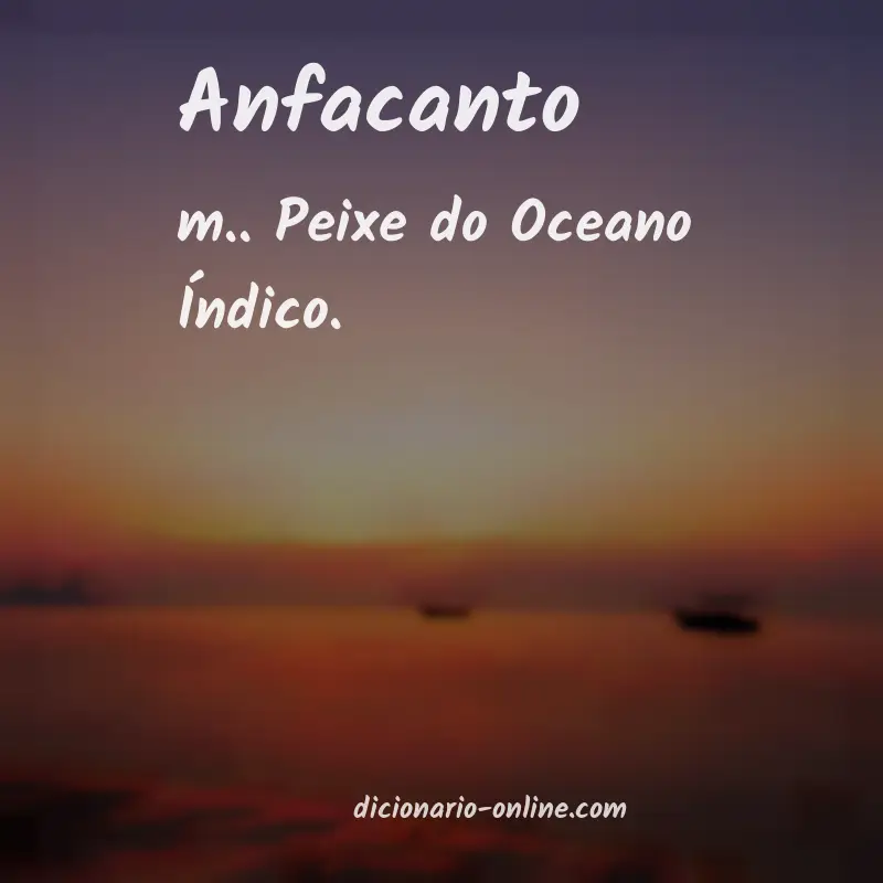 Significado de anfacanto