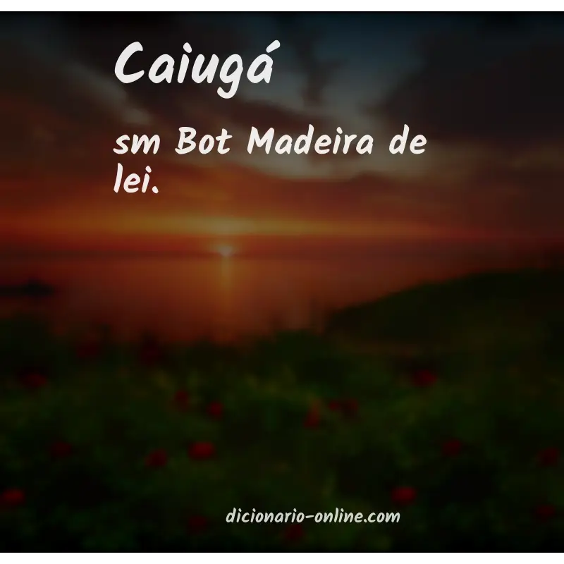 Significado de caiugá