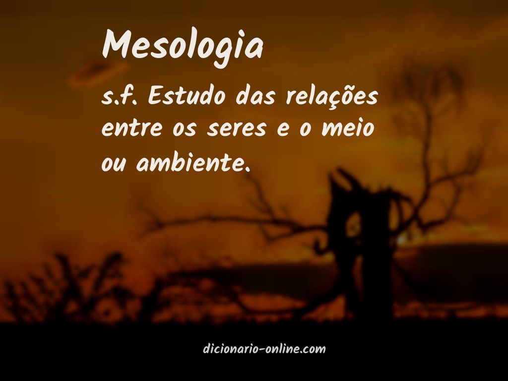 Significado de mesologia