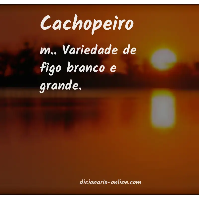 Significado de cachopeiro