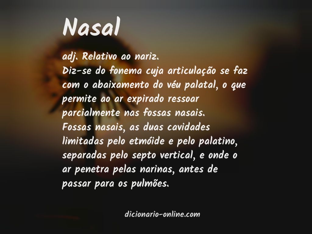 Significado de nasal