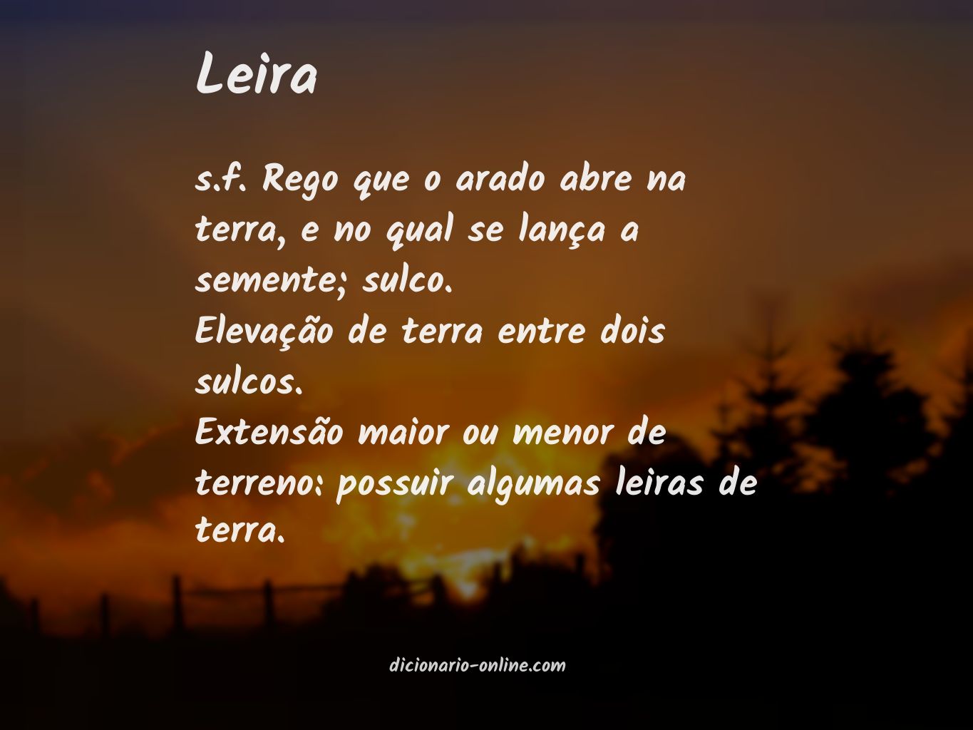 Significado de leira