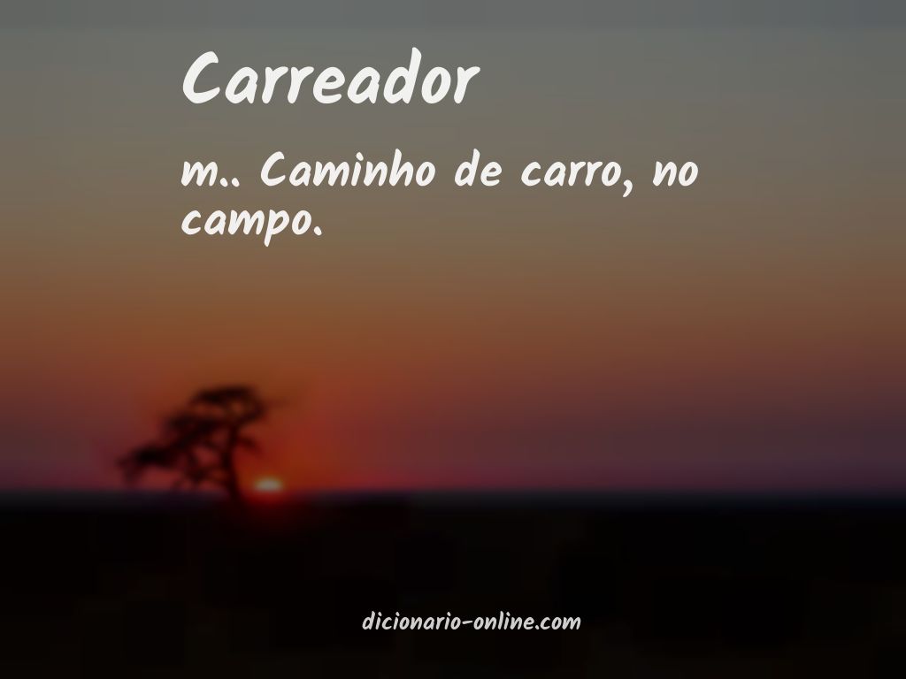 Significado de carreador