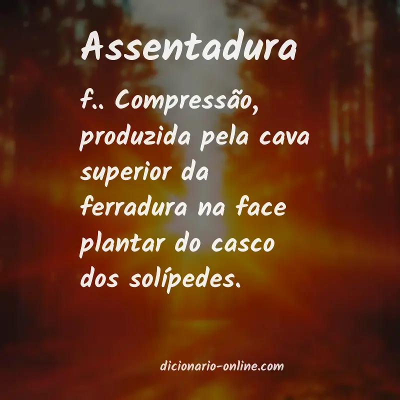 Significado de assentadura