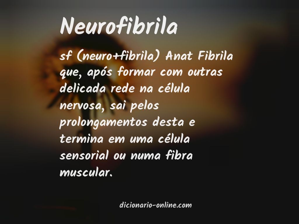 Significado de neurofibrila