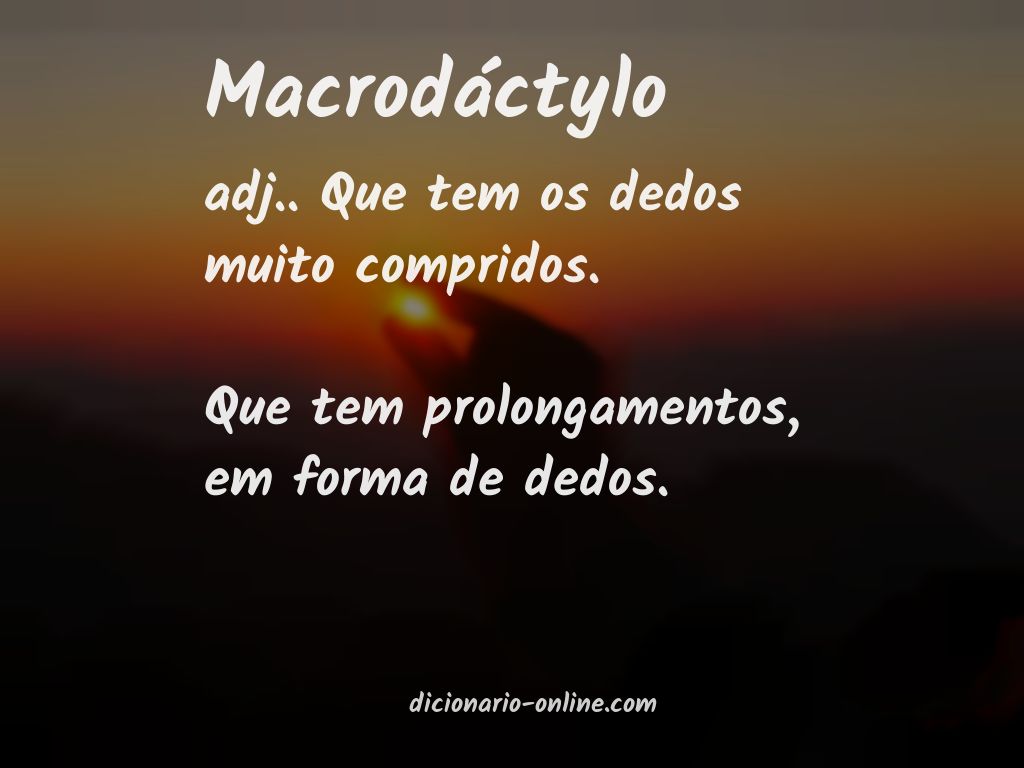 Significado de macrodáctylo