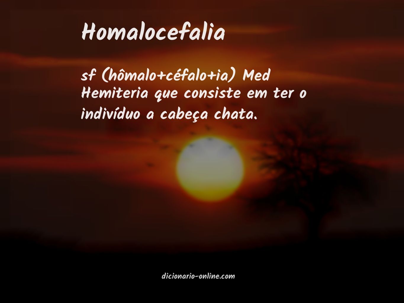 Significado de homalocefalia