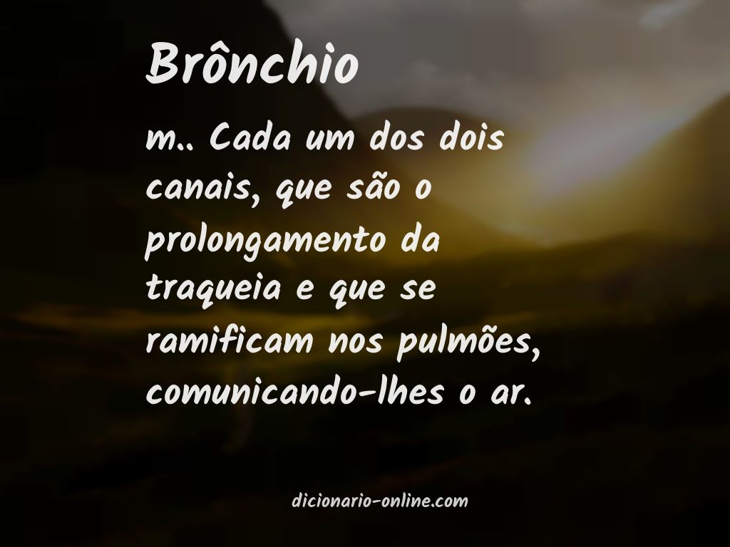 Significado de brônchio