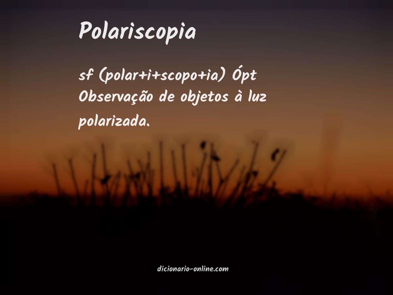 Significado de polariscopia