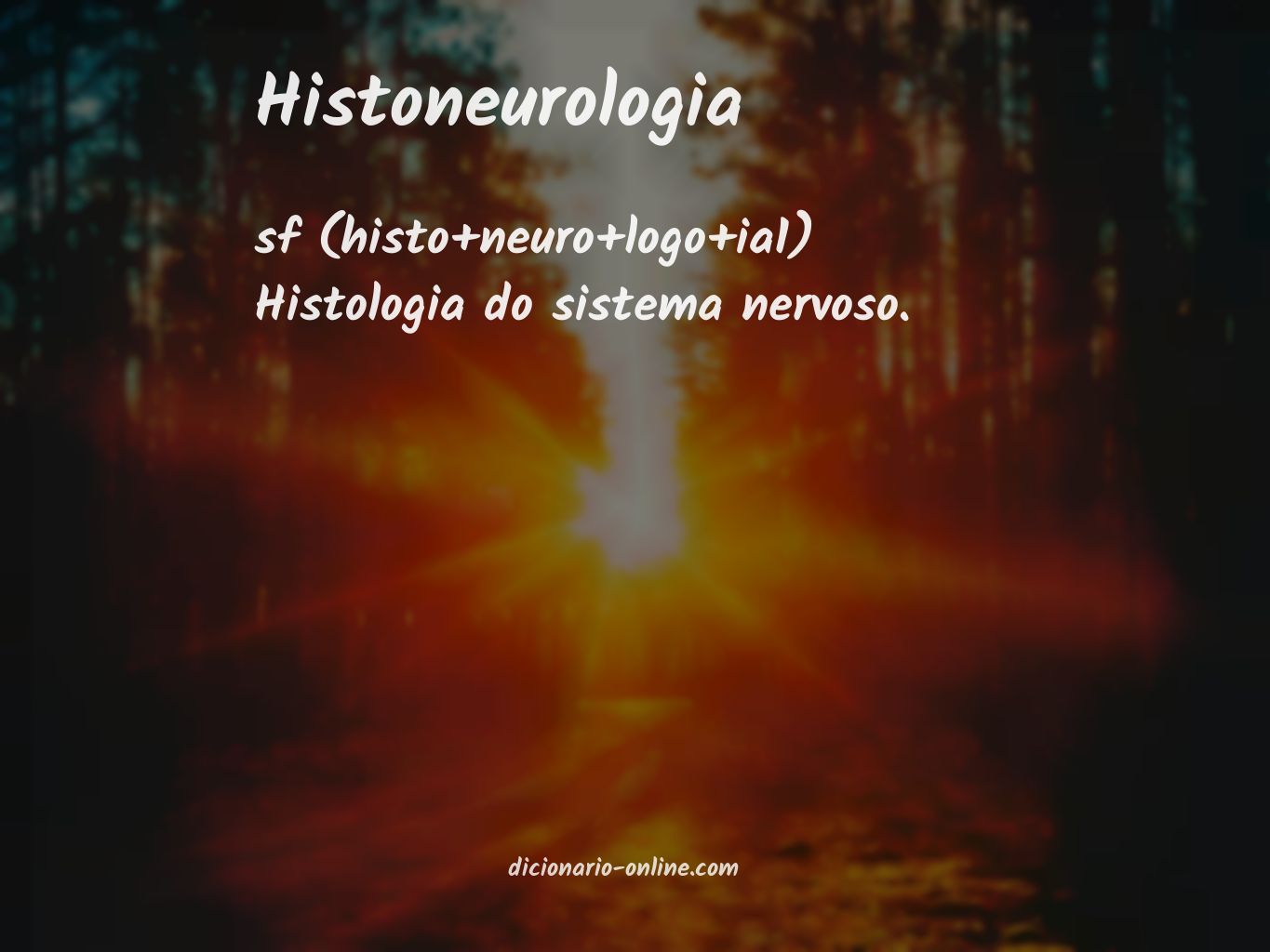 Significado de histoneurologia