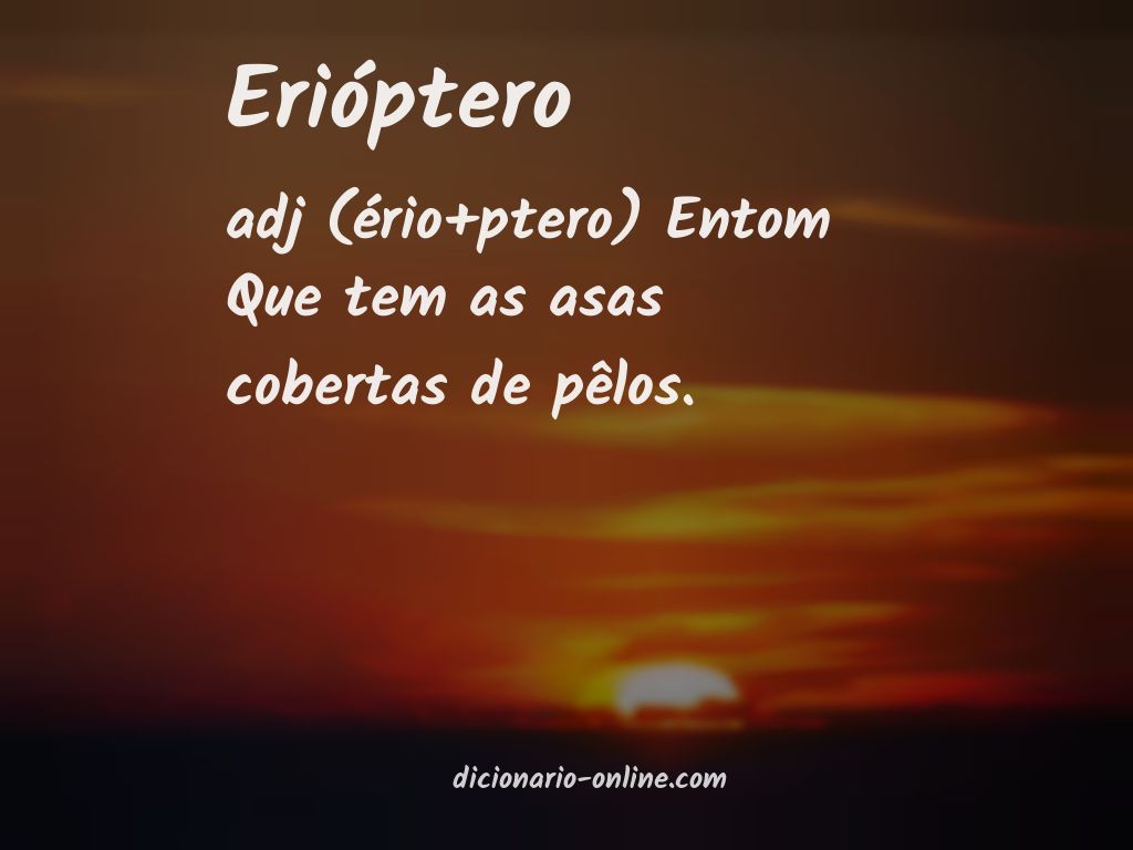 Significado de erióptero