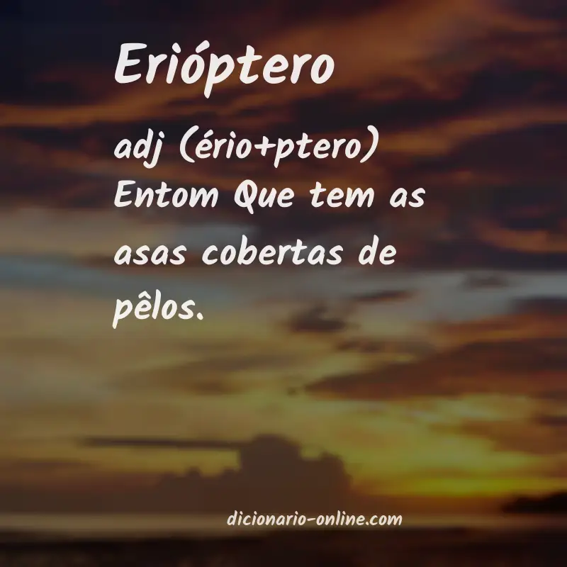 Significado de erióptero