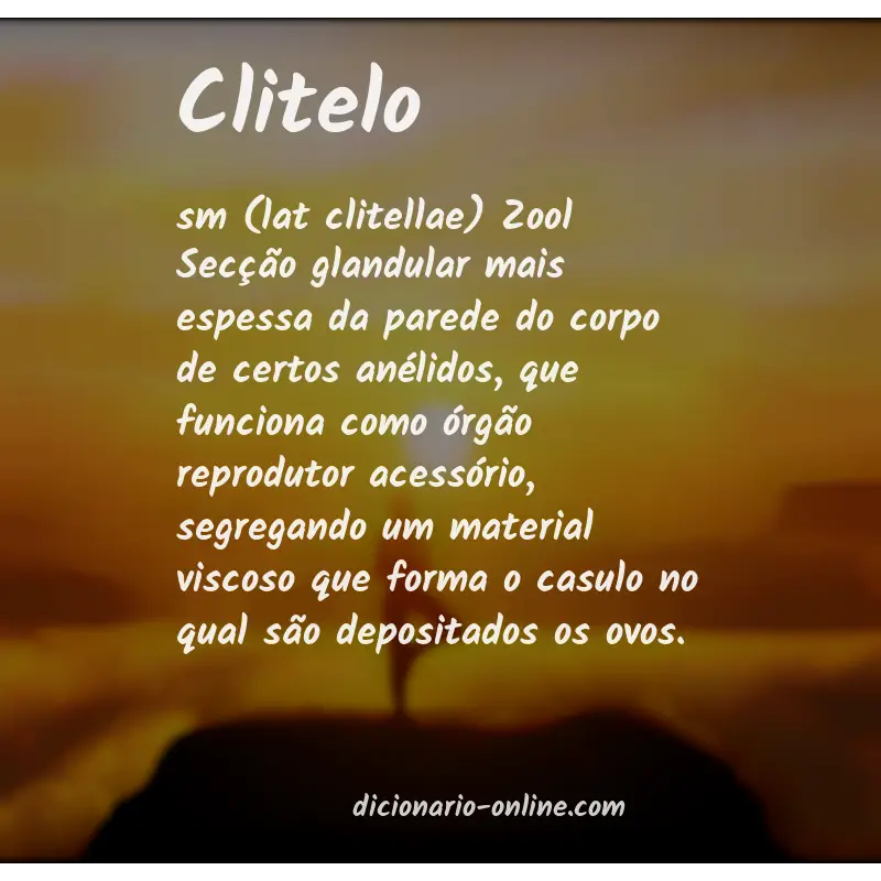 Significado de clitelo