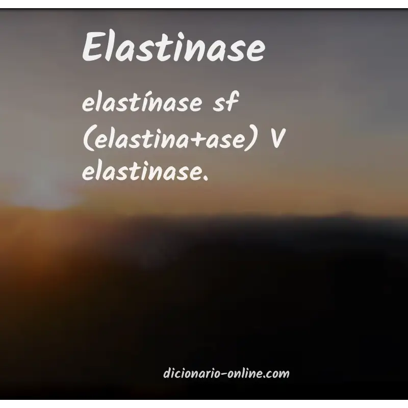 Significado de elastinase