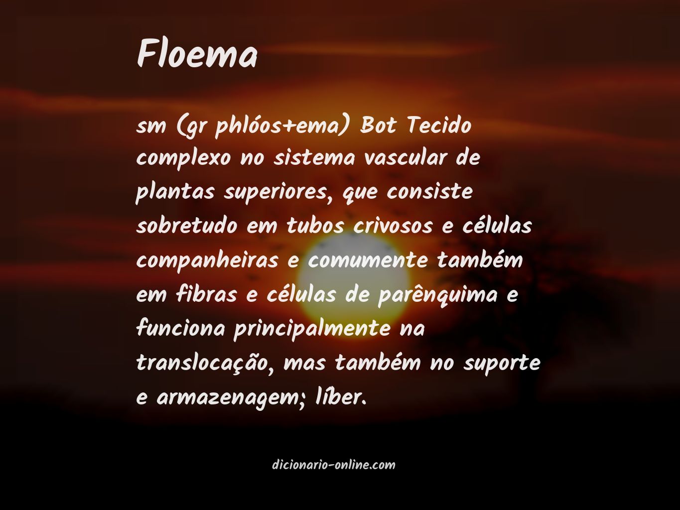 Significado de floema