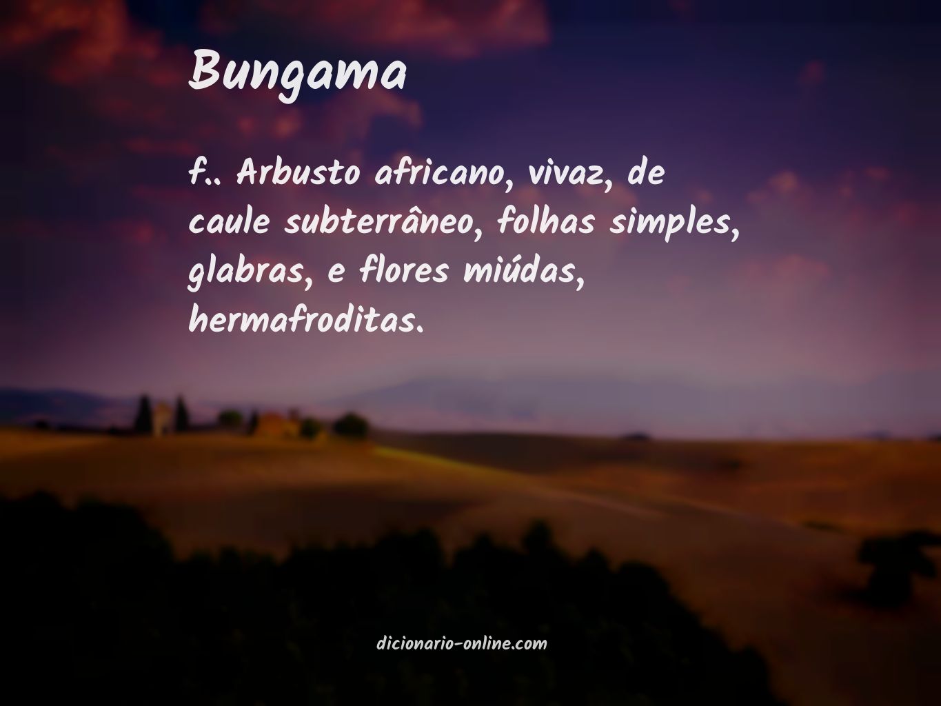 Significado de bungama
