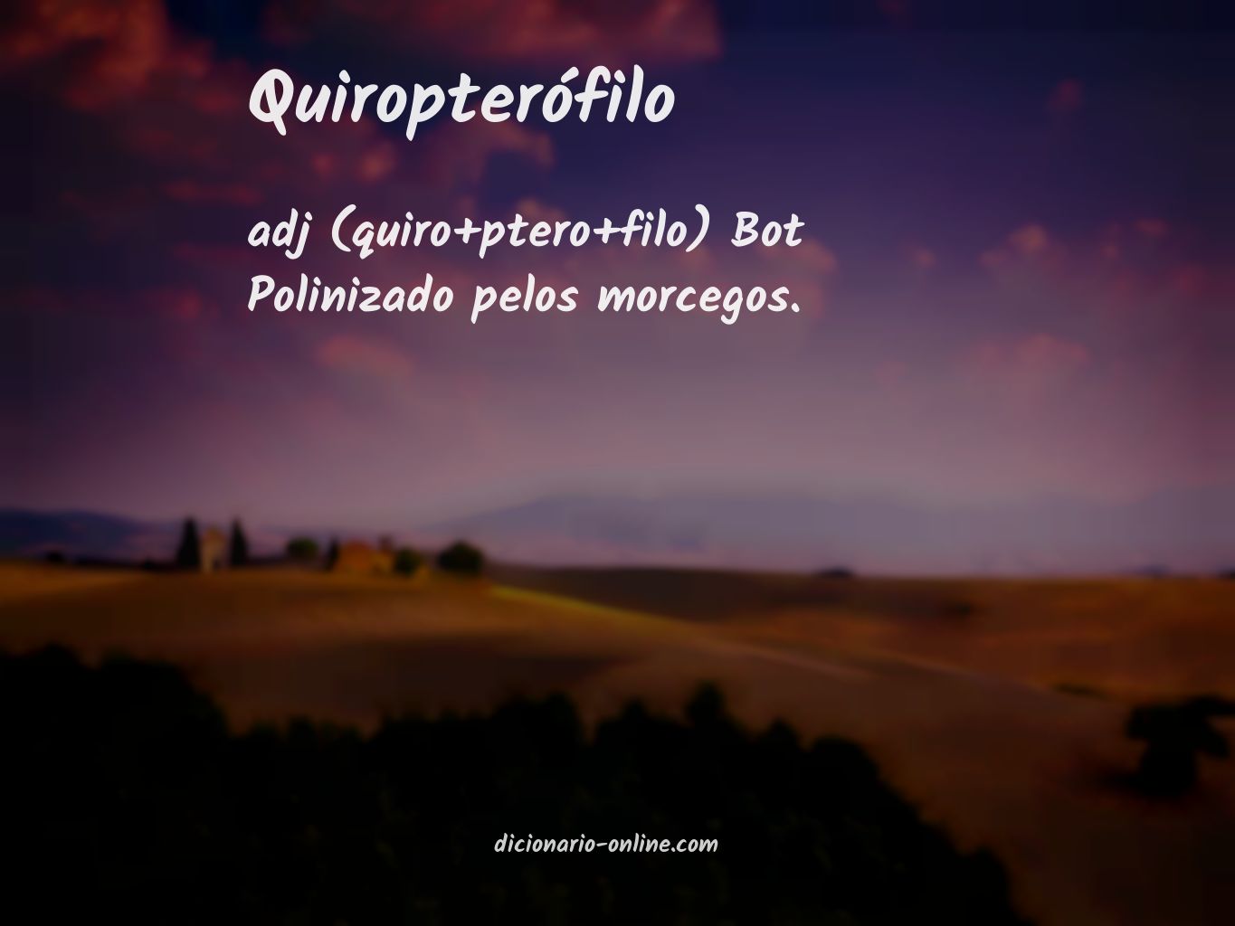 Significado de quiropterófilo