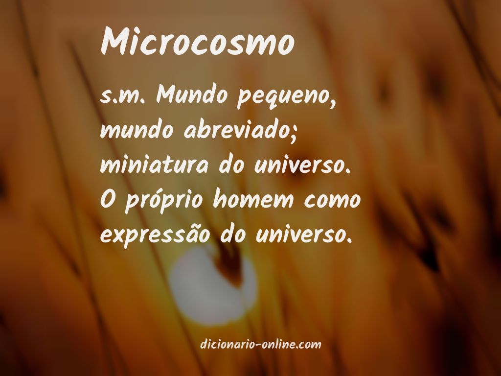 Significado de microcosmo