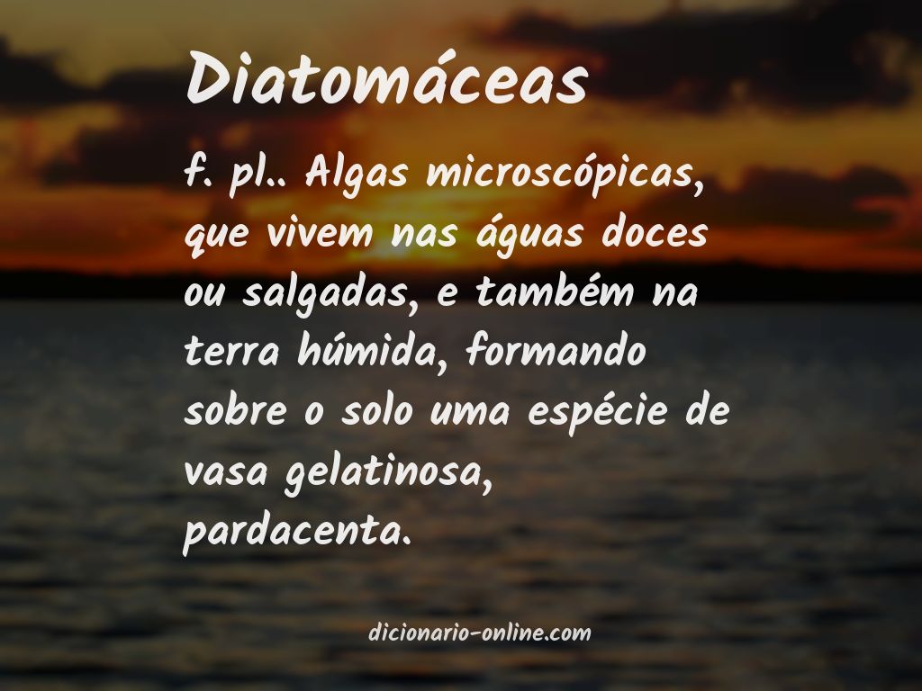 Significado de diatomáceas