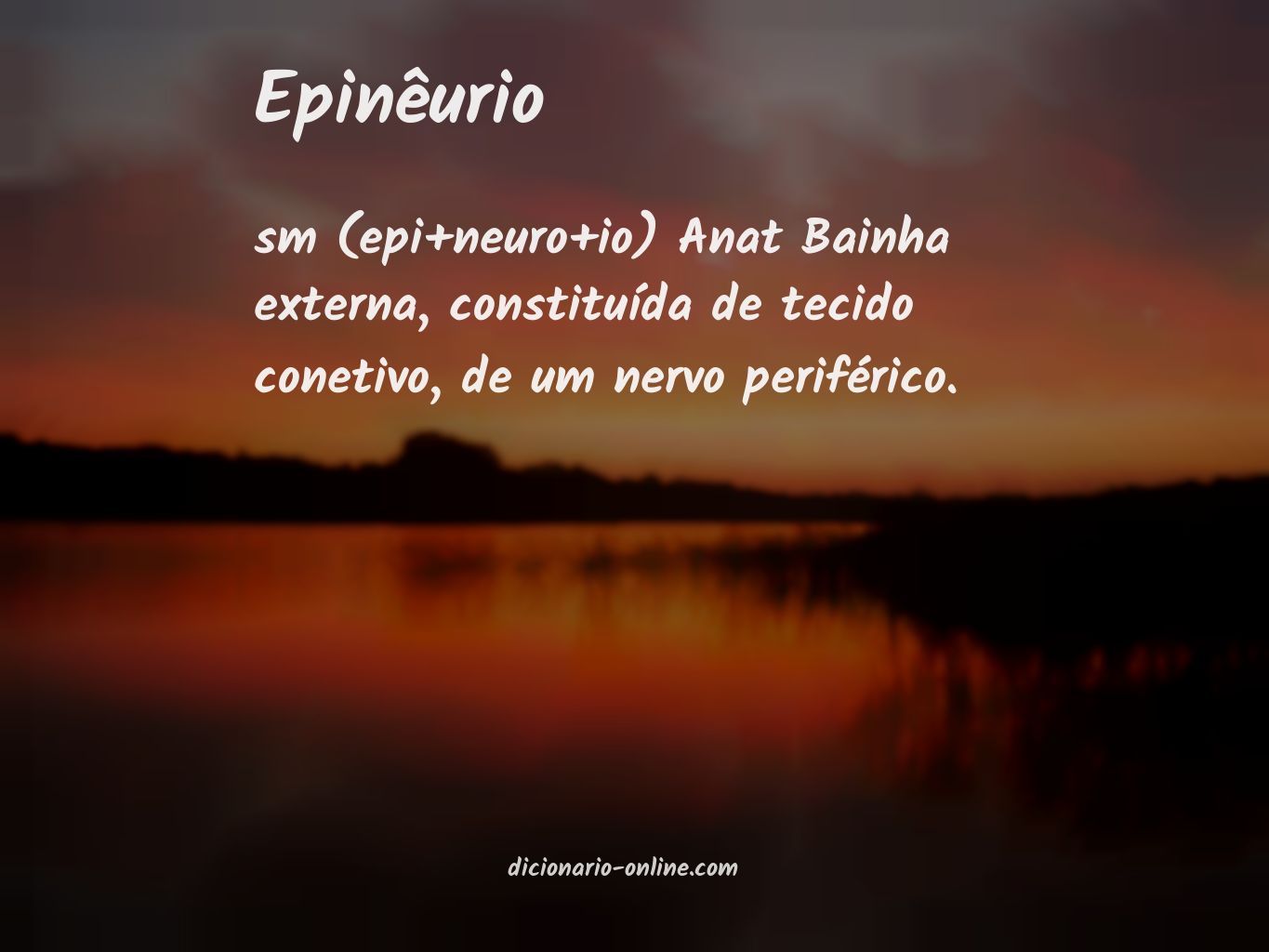 Significado de epinêurio