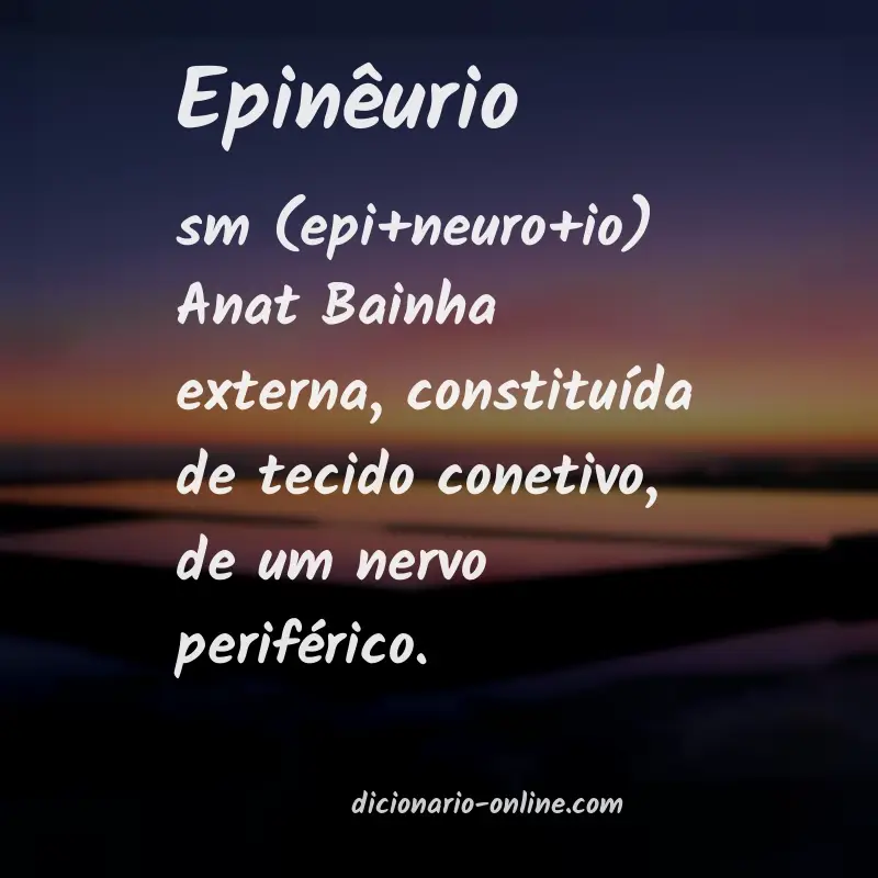 Significado de epinêurio