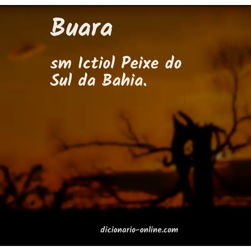 Significado de buara