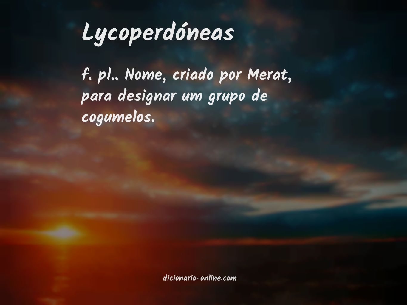 Significado de lycoperdóneas